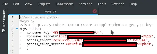 insert the API keys for twitter bot