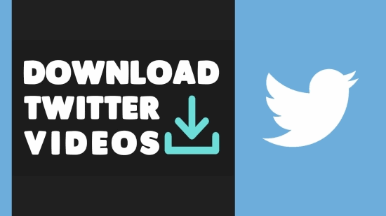 download twitter videos
