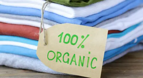 eco-friendly-clothing-brands